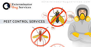 Pest Control Services Pest Control Services Drywood Termites Termite Inspection