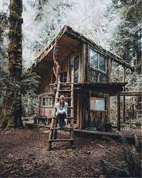 justindkauffman 04 hutten hutten justindkauffman coole baumhauser blockhaus ferienhaus haus im wald