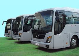 Kết quả hình ảnh cho xe 45 hoamaitour