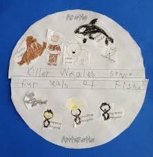 Arctic Animals Vs Antarctic Animals Sort Animals Write What You Learned Antarctic Animals Arctic Animals Polar Animals