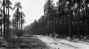 عزبة النخل القاهره عام 1900 Reem Old Egypt History Pictures Egypt