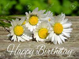 Download and use 70,000+ happy birthday images for free. Image Of Birthday Greetings With Daisies Stock Photo Picture And Royalty Free Image Image 35059450