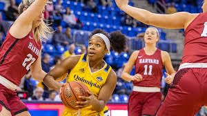 Shaq Edwards Womens Basketball Quinnipiac University