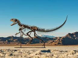 Divinexdoll nude - came across Janela advertisement