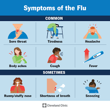 Image result for Influenza