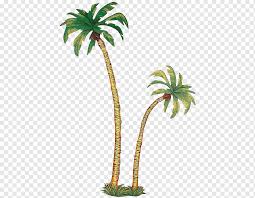 Image result for Raphia australis