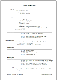 Cv Resume Curriculum Vitae In Excel