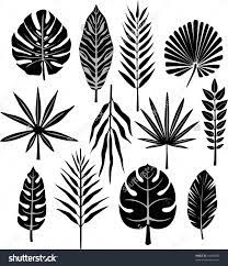 image tropical leaves stock vectors vector clip art shutterstock leaf stencil outline african safari theme flammes de coloriage