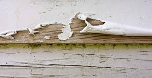 Located at 749 wilson road in newberry, sc, we write all lines of insurance including farm, home, life, and car insurance. Newberry Sc Painters Best House Interior Exterior Painting Company 29108