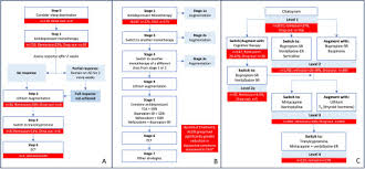 Image result for Refractory Depression Management