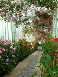Visite Des Serres Royales De Laeken Belgique Jardin Prive Jardins Belgique