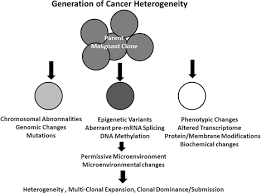 Childhood leukemia accounts for about 25 percent of all cancers in children. Addressing Heterogeneity Of Individual Blood Cancers The Need For Single Cell Analysis Springerlink