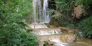 Check spelling or type a new query. Arac Okcular Koyu