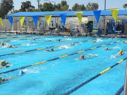 Current week lap lane availability. Cactus Aquatics Fitness Center 7202 E Cactus Rd Scottsdale Az Parks Mapquest