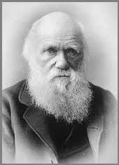 Sociobiology and Evolutionary Psychology