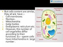 Check spelling or type a new query. Cbse Class 11 Plasma Membrane In Hindi Offered By Unacademy