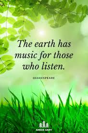 Forest Photography Trees Photography Landscapes Photography Nature Pictures Nature Quotes Enjoy Nature Quotes Green Nature Quotes Save Nature Quotes