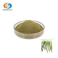 China Ọfẹ Ayẹwo Fucoxanthin Powder Awọn olupese Ile-iṣẹ Awọn olupese - Ra  ni Olopobobo - Rebecca