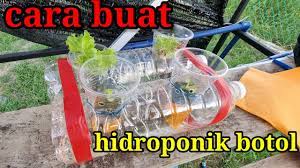 Cara Buat Hidroponik Guna Botol Bekas Minerel Youtube