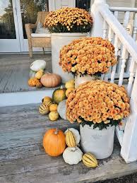 Check spelling or type a new query. Fall Planter Ideas Wow Em In 3 Easy Steps The Garden Glove