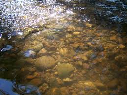 We did not find results for: Stream Bed Wikipedia