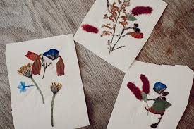 Maybe you would like to learn more about one of these? Diy Homemade Pressed Flower Greeting Cards Olli Ella Uk