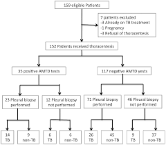 patient flow chart for diagnosis of pleural effusion