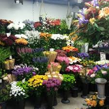 Get all of hollywood.com's best movies lists, news, and more. Friske Blomster Osterbros Kobenhavn Region Hovedstaden