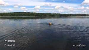 Check spelling or type a new query. Milo The Dog On Little Island Pond Youtube