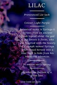 Pin On Color Theory