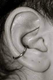 Right now. that graph is simply beautiful, it illustrates the 'springtime' mating patterns you see in. This I Want This Piercings Conch Piercing Piercing