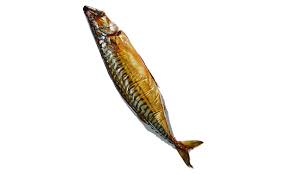 Achvuun) is a species of anadromous fish in the salmon family and one of the five pacific salmon species. What S The Difference Between Hot Smoked Salmon And Cold Smoked Bon Appetit