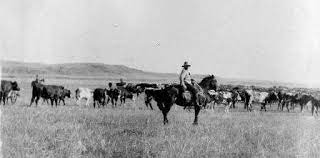 History Cowboys Of The Old West