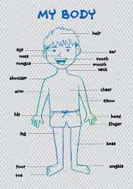 Introduce the topic with rhymes and songs like head, shoulders, knees and toes or if you're happy, and you know it or games like simon says. Body Parts Kids Stock Illustrations 352 Body Parts Kids Stock Illustrations Vectors Clipart Dreamstime