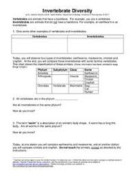 Work sheet on introduction to inverta brate. Invertebrate Phylum Lesson Plans Worksheets Reviewed By Teachers