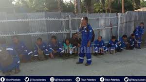 Please fill out the form below for contact. Gaji Pt Hansung Gaji Thr Lenyap Separuh Karyawan Pt Secure Parking Tahun Lalu Gaji Pns Mengalami Kenaikan