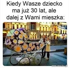 wiocha.pl