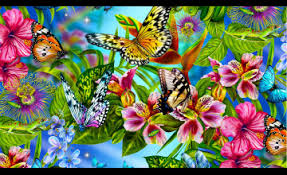 Multiple sizes of wallpapers available here. 76 Butterfly Backgrounds On Wallpapersafari