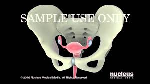 Consequently, individuals need to know which symptoms might point to cancer. Cervical Cancer Symptoms Youtube