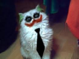 images?q=tbn:ANd9GcRPybZOeij93nX-LsDMP2s