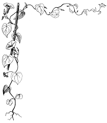 Black And White Vines Clipart Morning Glory Clipart Etc Morning Glory Morning Glory Flowers Vine Drawing
