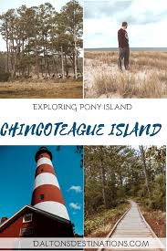 Exploring Chincoteague Island Perfect For Horse Lovers Dalton S Destinations In 2020 Travel Usa Chincoteague Island Island Travel