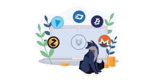 In 2020, the price of the coin rose by almost four times from $1.2 to $4.28. What Are Privacy Coins Dive Into A High Level Overview Of By Shapeshift Shapeshift Stories Medium