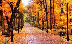 Autumn Wallpaper Beautiful Fall Wallpapers Autumn Leaves Wallpaper Fall Wallpaper Fall Pictures