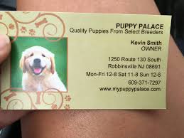 The state of nj site may contain optional links, information, services and/or content from other websites operated by third parties that are provided as a convenience, such as google™ translate. Puppy Palace 20 Photos 39 Reviews Pet Stores 1250 Rt 130 S Robbinsville Nj Phone Number