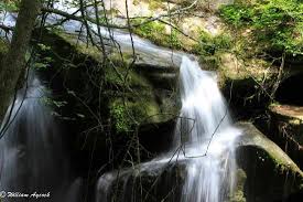 This is the water fall at the beginning of the trail. Dismals Canyon Haleyville 2021 All You Need To Know Before You Go Tours Tickets With Photos Tripadvisor