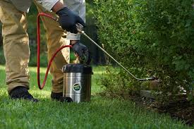 Those products actually act as a natural mosquito and insect repellent, said mitchell. Fact Or Fiction The Truth About Mosquito Repelling Plants