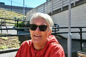 Måker er et stort problem: