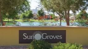 Sun Groves