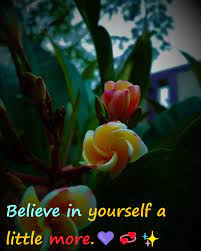 179 Best Instagram Captions About Self Love Self Love Captions For Instagram Bests Wishes 4u
